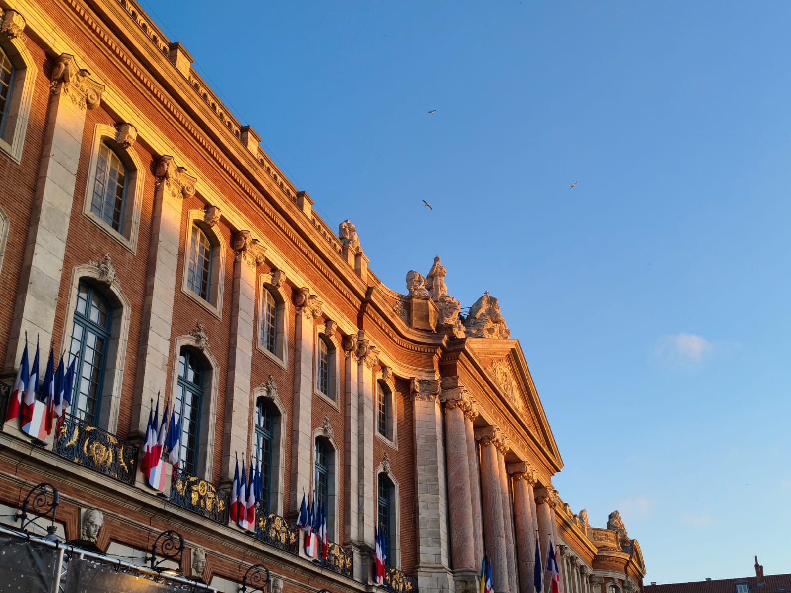 capitole batiment avec trois oiseaux